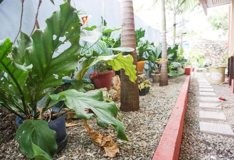 Resort Krismark Dive Lodge