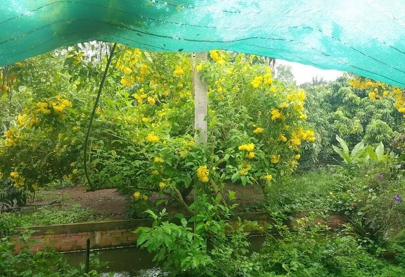 تختخواب و صبحانه Ba Linh Homestay