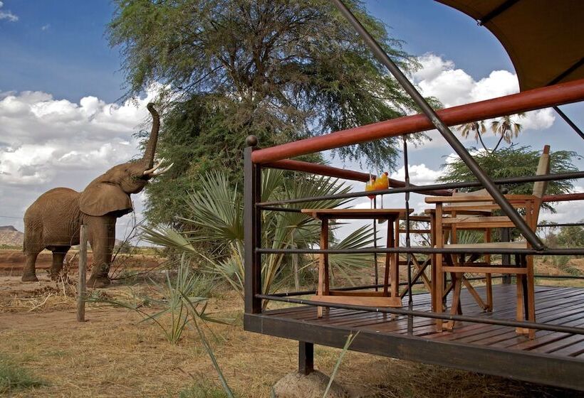 هتل Ashnil Samburu Camp