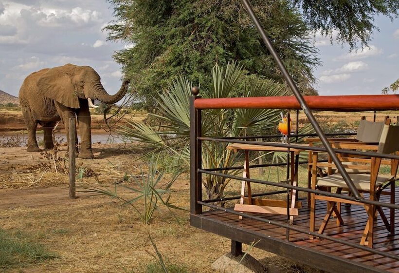 هتل Ashnil Samburu Camp