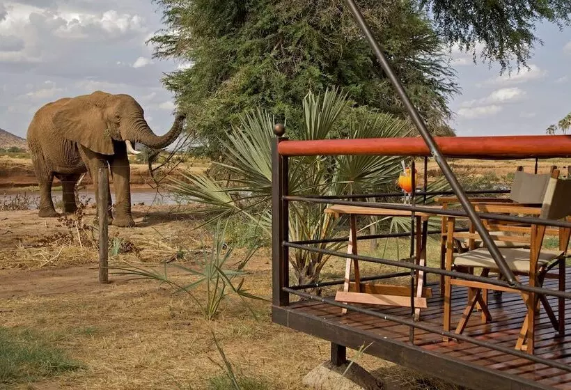 هتل Ashnil Samburu Camp