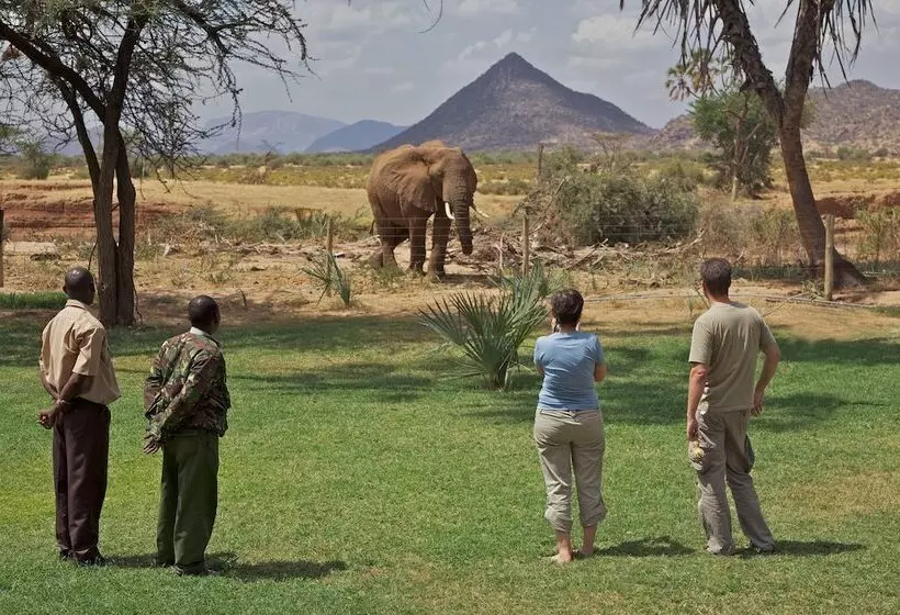 هتل Ashnil Samburu Camp