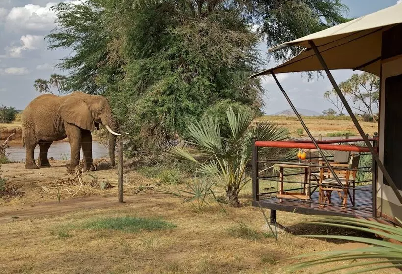 هتل Ashnil Samburu Camp