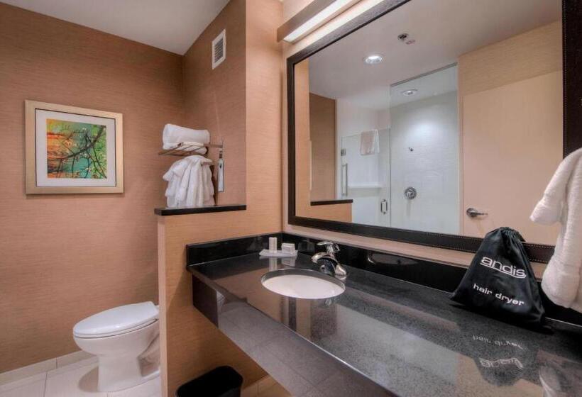 فندق Fairfield Inn & Suites By Marriott Charlotte Airport