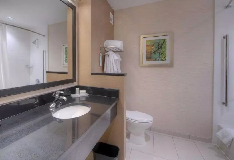 ホテル Fairfield Inn & Suites By Marriott Charlotte Airport