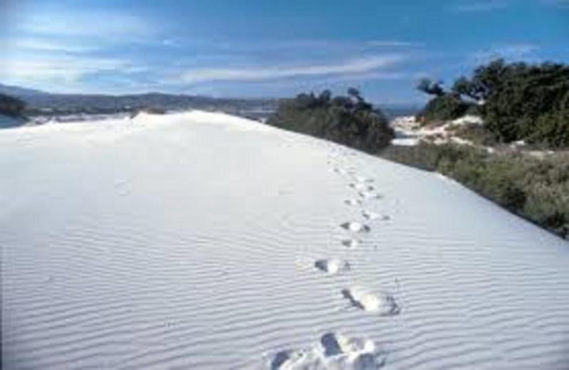 בית מלון כפרי Gentarrubia