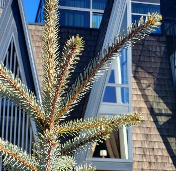 Pino Nature Hotel, Bw Premier Collection