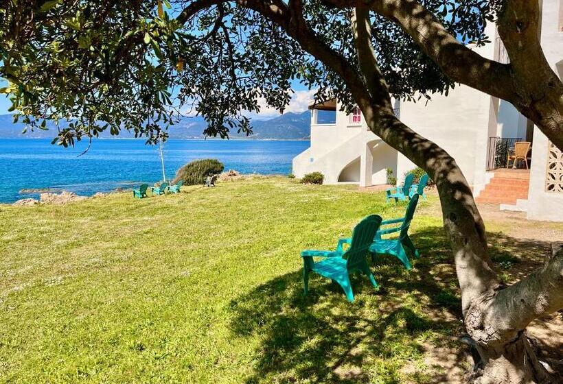 هتل Résidence Punta Paliagi