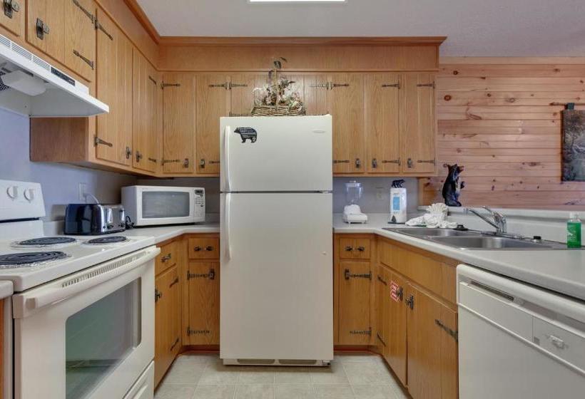 בית מלון כפרי Ski View Mountain Resort