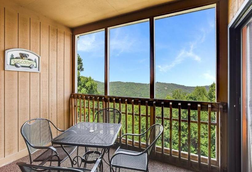 בית מלון כפרי Ski View Mountain Resort