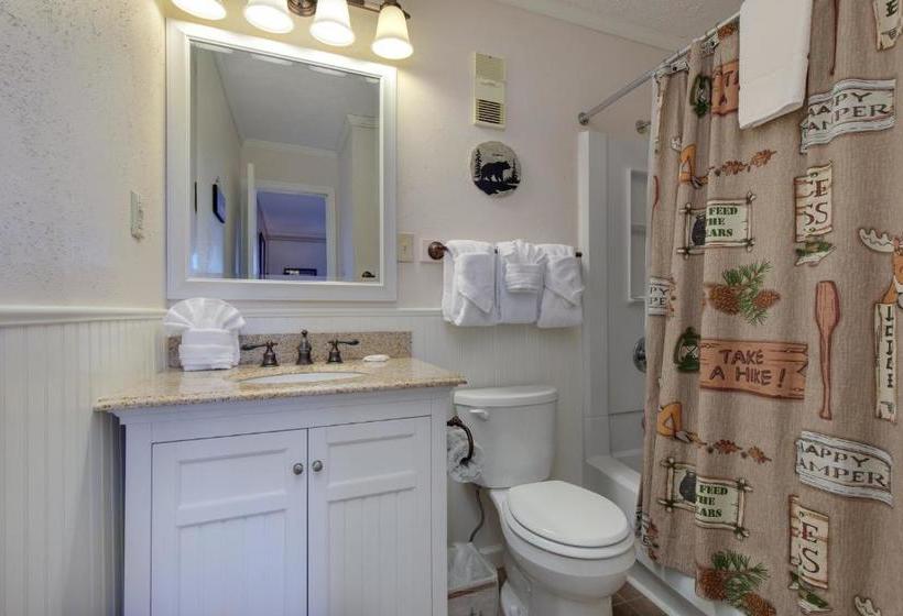 בית מלון כפרי Ski View Mountain Resort