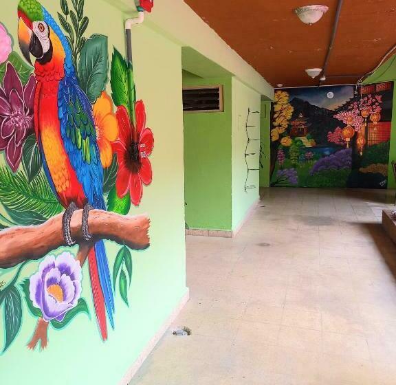 בית מלון כפרי Imperial San Mateo David Chiriqui