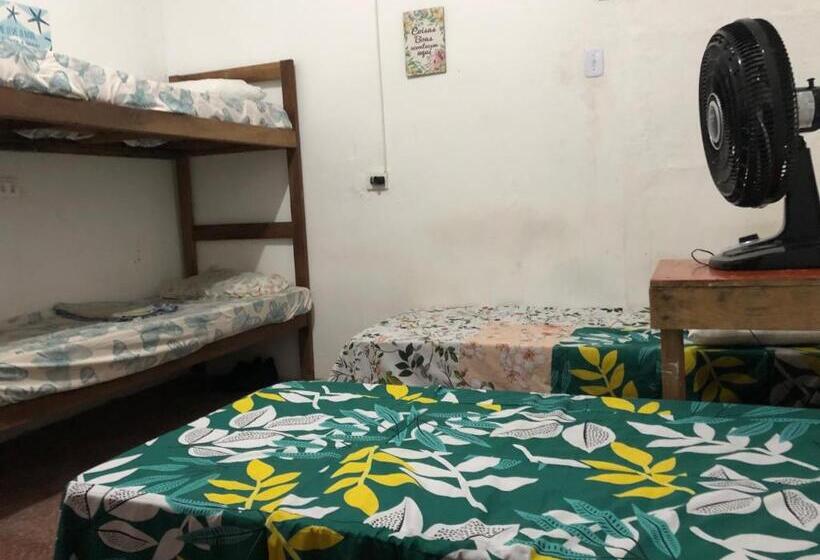 Lê Frevo Pernambucano Hostel