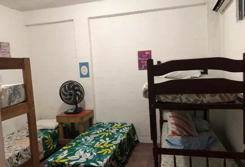 Lê Frevo Pernambucano Hostel