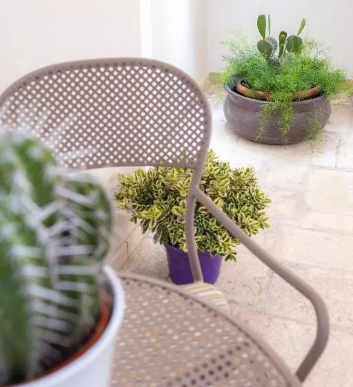 ベッドアンドブレックファースト Gli Imperiali