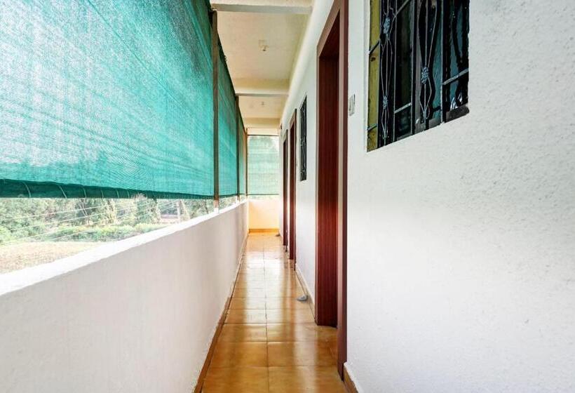 Hotel Oyo Flagship Gandharv Lodging & Boarding