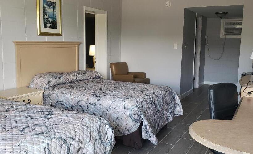 فندق على الطريق Palmsbythebeach