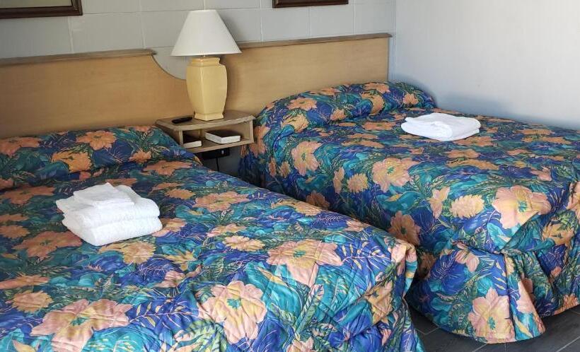 فندق على الطريق Palmsbythebeach