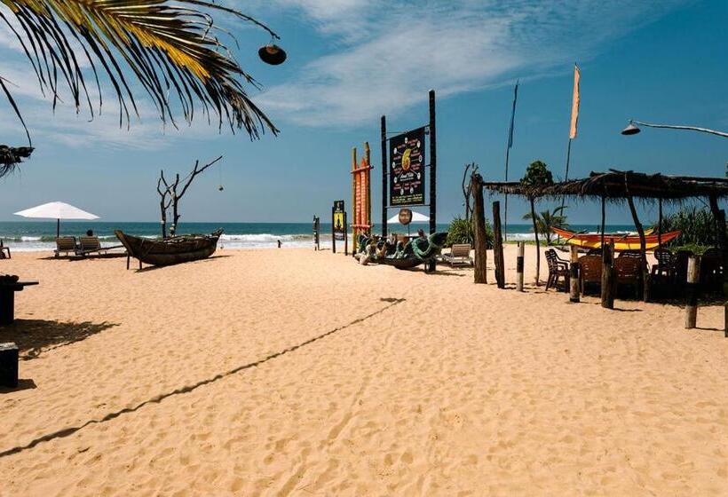 פנסיון Amal Villa