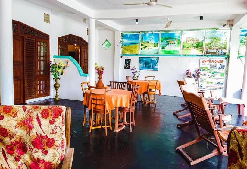 Пансион Kapila Guest In Unawatuna