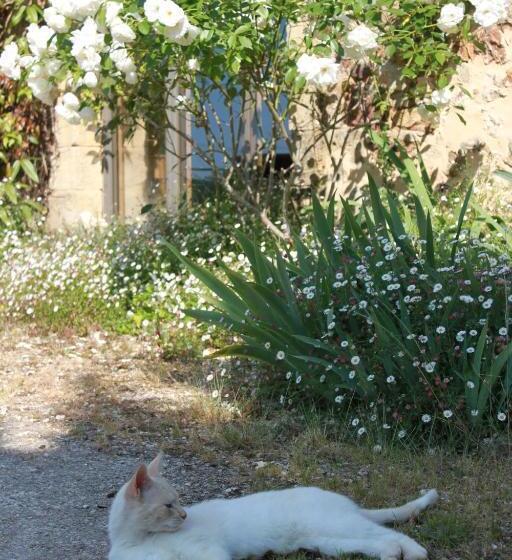 צימר Chambres D Hôtes Léone Haute