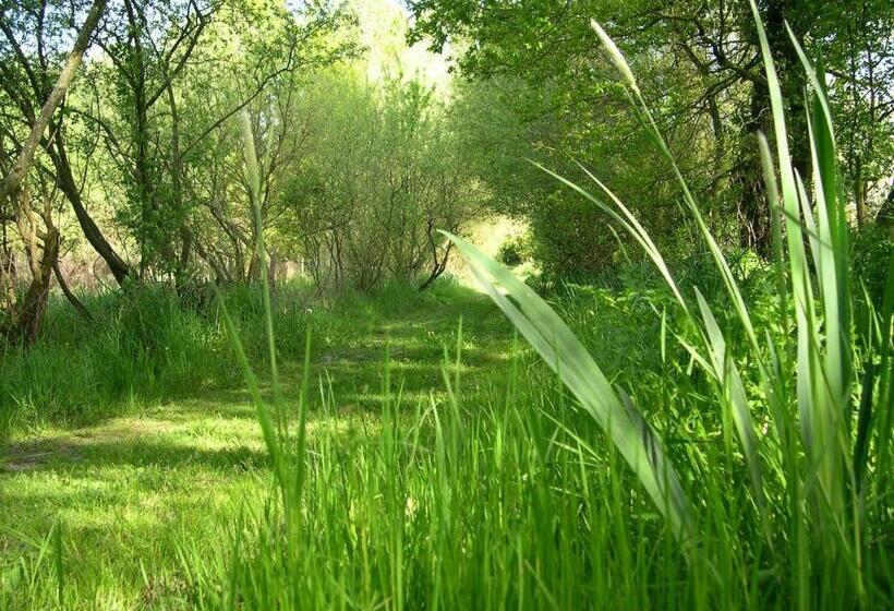 Bed and Breakfast L'hôt'berge