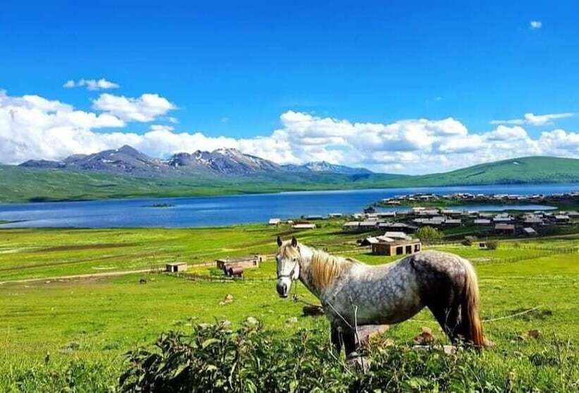 هتل Bakuriani Plaza B 217