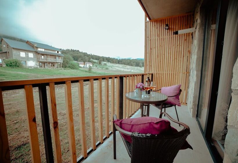 هتل Bakuriani Plaza B 217