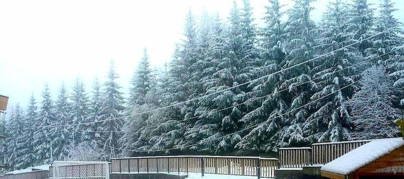 هتل Bakuriani Plaza B 217