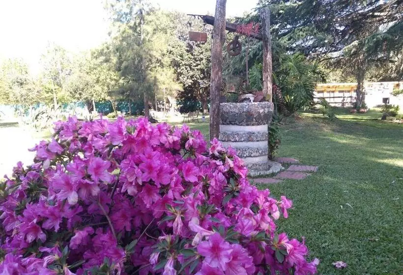 Pualy Resort & Spa