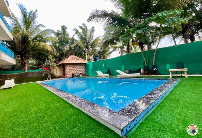 旅馆 One Light Stays   Arambol