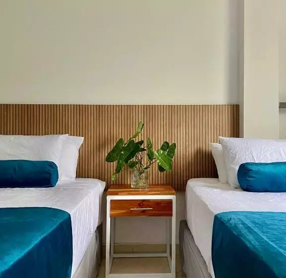 カプセルホテル San Ignacio