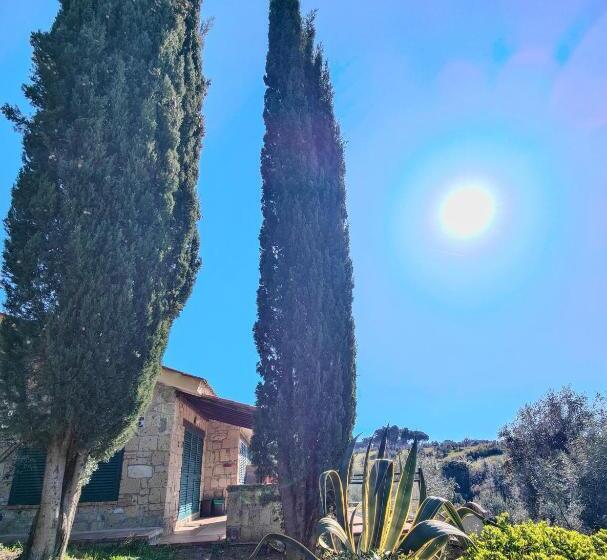 Isa Residence With Swimming Pool In Guardistallo Surrounded By Greenery