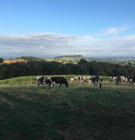 ベッドアンドブレックファースト Chambres D Hôtes Du Maspourquet