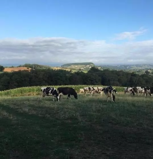 Aamiaismajoitus (B&B) Chambres D Hôtes Du Maspourquet