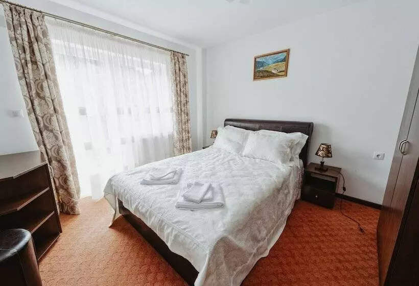 ホテル Complex Turistic Constantin Bucovina