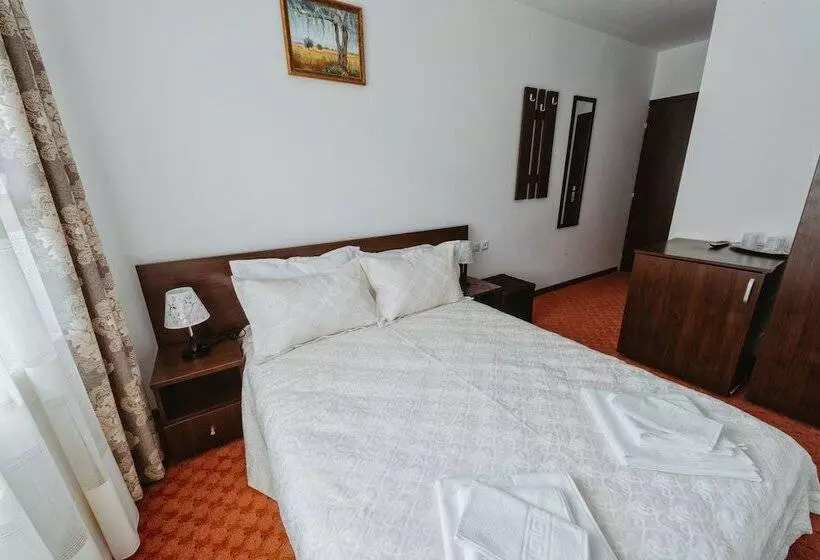 ホテル Complex Turistic Constantin Bucovina