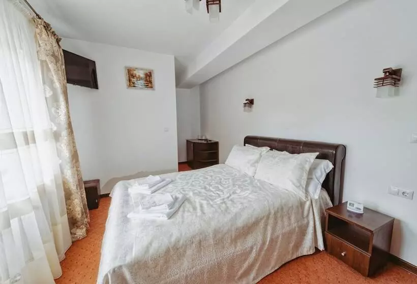 ホテル Complex Turistic Constantin Bucovina