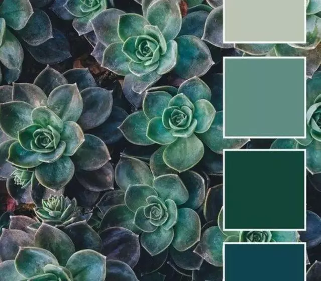 Aamiaismajoitus (B&B) Die Heerenhuys Guest Suites