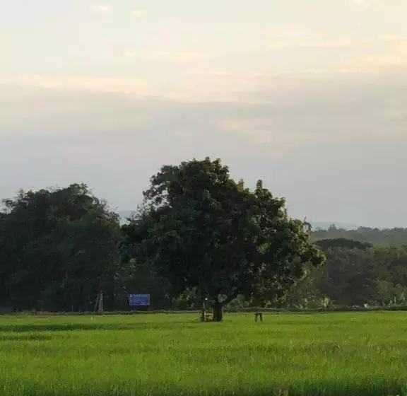 ณาคูรีสอร์ท Nakoo Resort Ngao