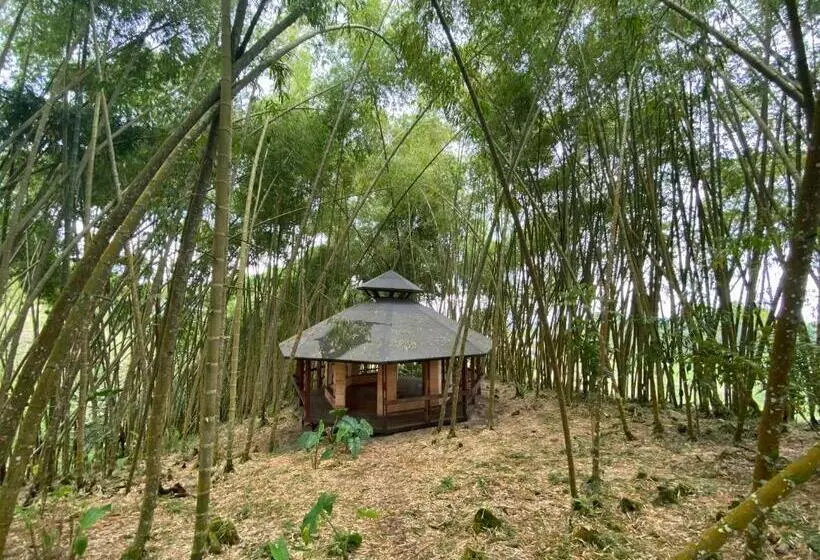 ホテル Dharma Biotherapy