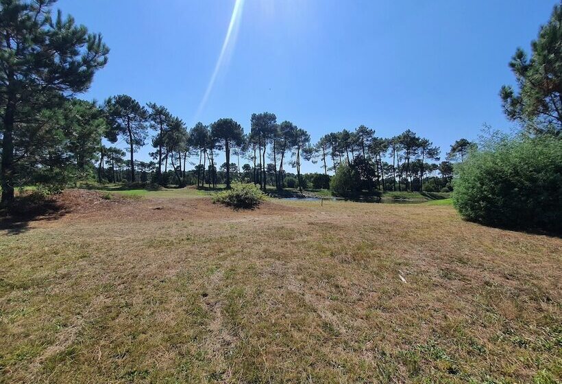 تختخواب و صبحانه Villa Bora Bora