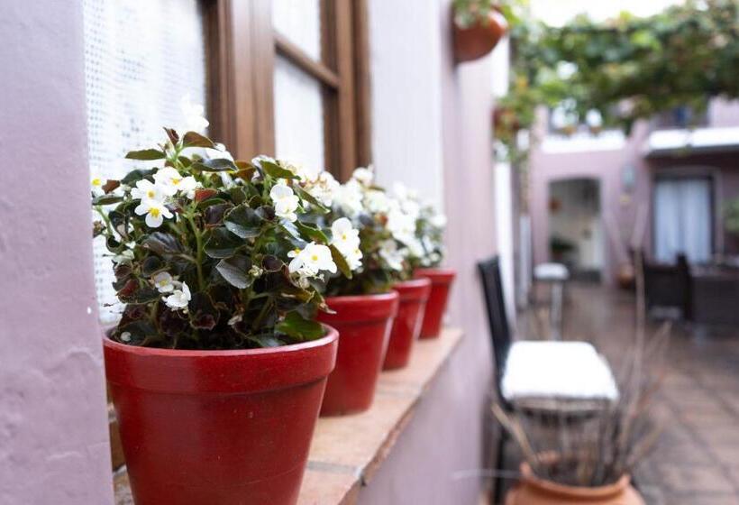 فندق Plaza Cafayate