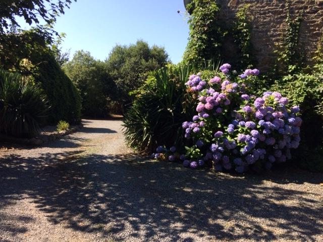 Runduic Farmhouse Bed & Breakfast