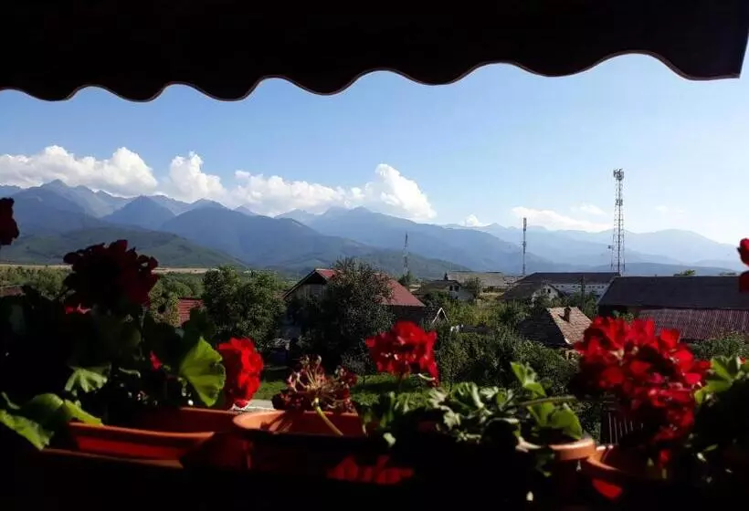 Pensiunea Leia Transfăgărășan