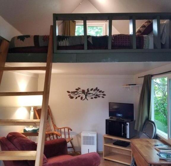 Bear Necessities Alaska