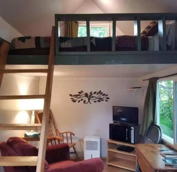 Bear Necessities Alaska