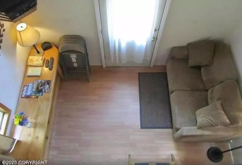 Bear Necessities Alaska