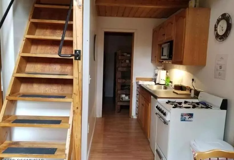 Bear Necessities Alaska