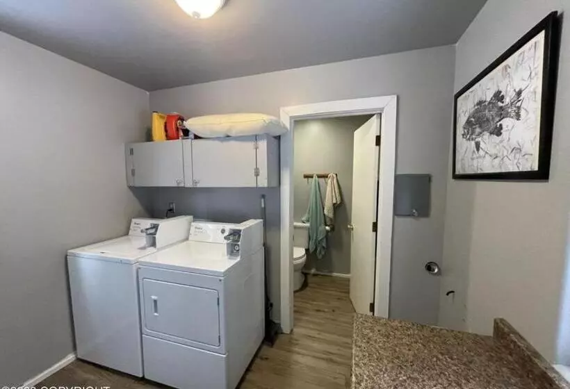 Bear Necessities Alaska